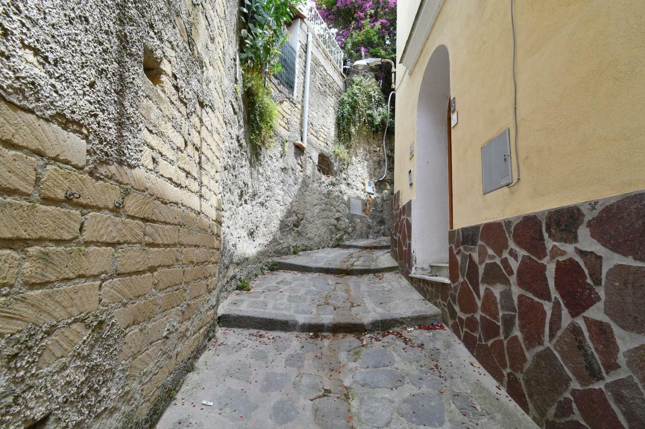 Forio di Ischia Casa Partenopeヴィラ エクステリア 写真