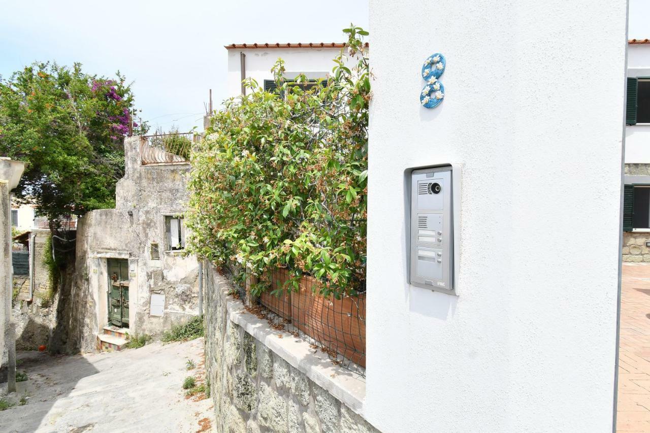Forio di Ischia Casa Partenopeヴィラ エクステリア 写真